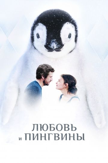 Любовь и пингвины (2016) смотреть онлайн