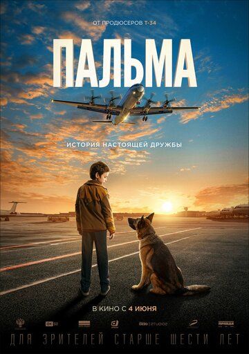 Пальма (2020) смотреть онлайн