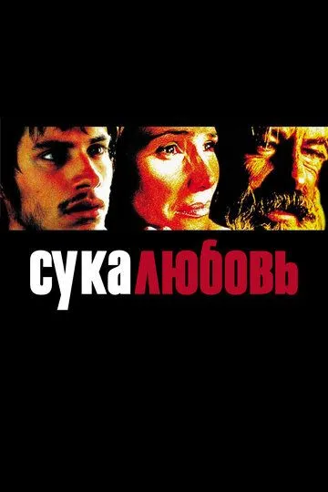 Сука-любовь (2000) смотреть онлайн