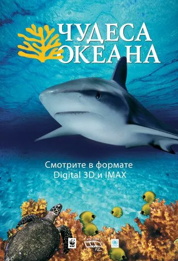 Чудеса океана 3D (2003) смотреть онлайн