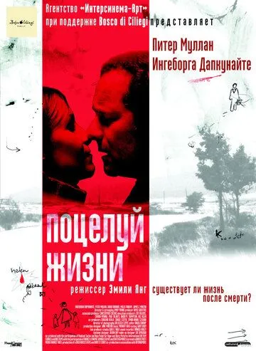 Поцелуй жизни (2003) смотреть онлайн