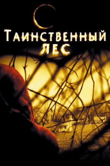 Таинственный лес (2004) смотреть онлайн