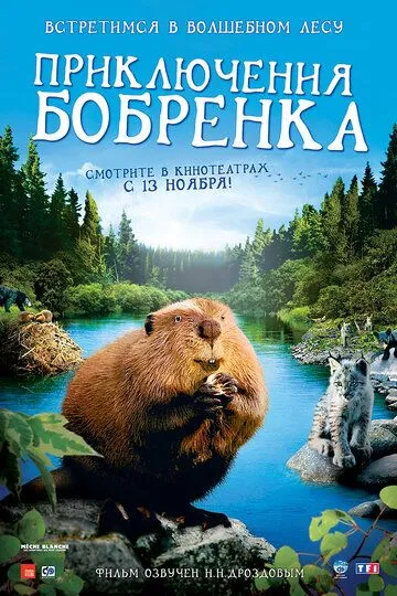 Приключения бобрёнка (2007) смотреть онлайн