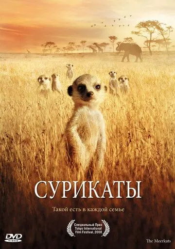 Сурикаты (2007) смотреть онлайн