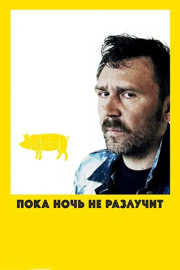 Пока ночь не разлучит (2012) смотреть онлайн