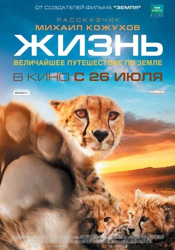 Жизнь (2011) смотреть онлайн