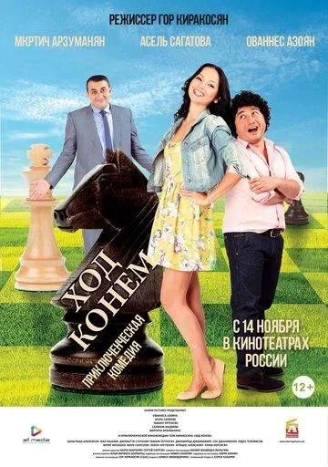 Ход конём (2013) смотреть онлайн