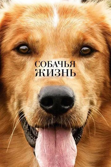 Собачья жизнь (2017) смотреть онлайн