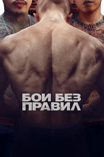 Бои без правил (2017) смотреть онлайн