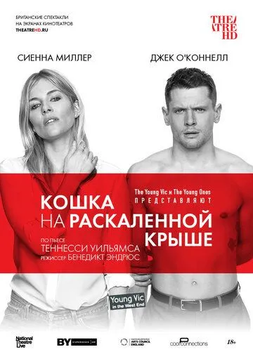 Кошка на раскалённой крыше (2018) смотреть онлайн