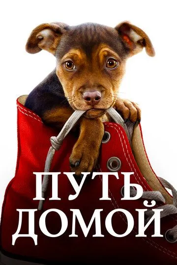 Путь домой (2019) смотреть онлайн