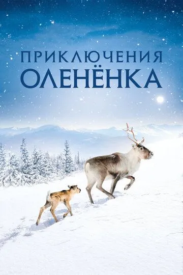 Приключения олененка (2018) смотреть онлайн