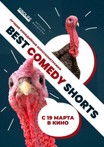 Best Comedy Shorts (2020) смотреть онлайн