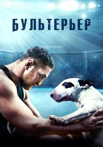 Бультерьер (2022) смотреть онлайн